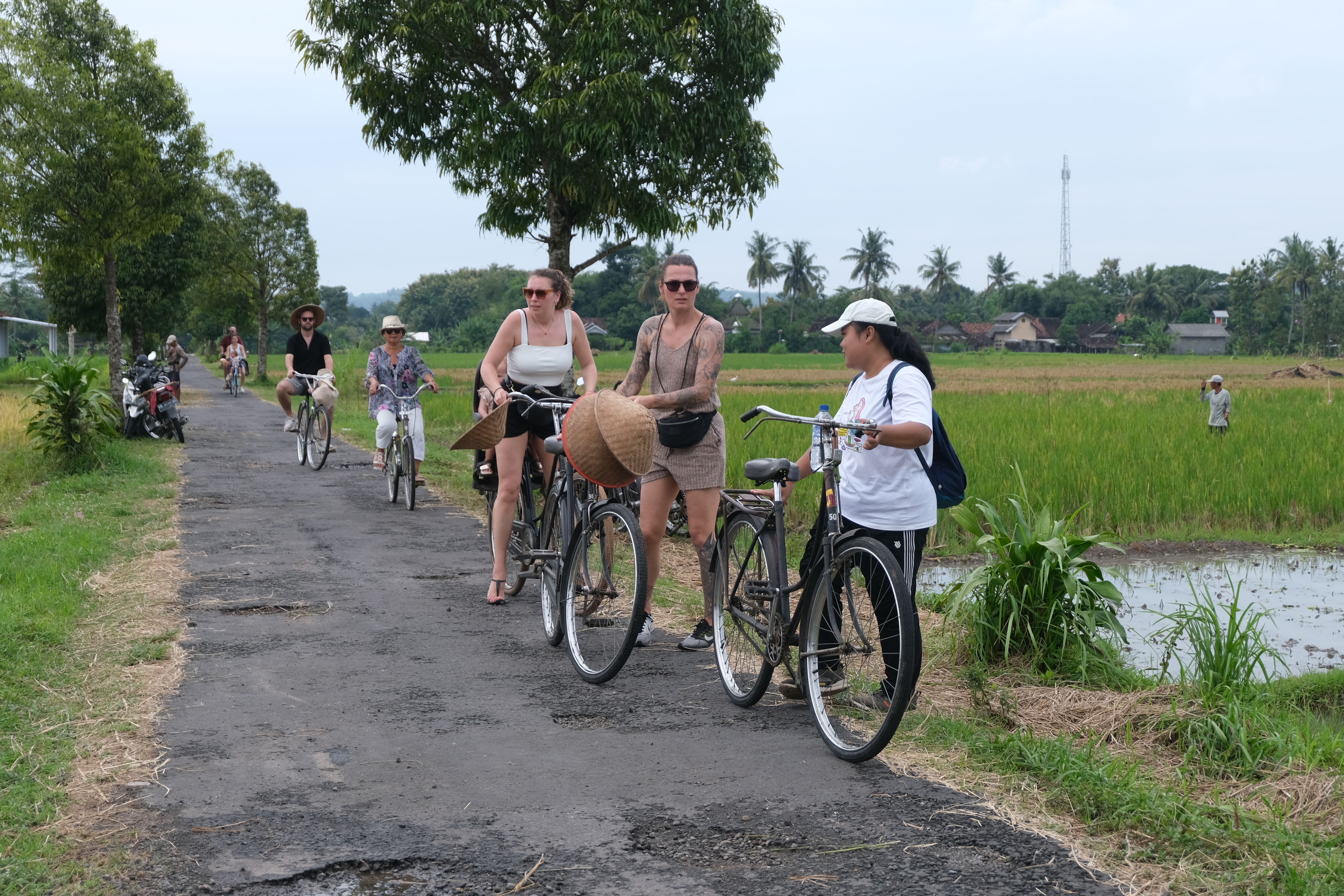 Foto dari Adi Fitrianto