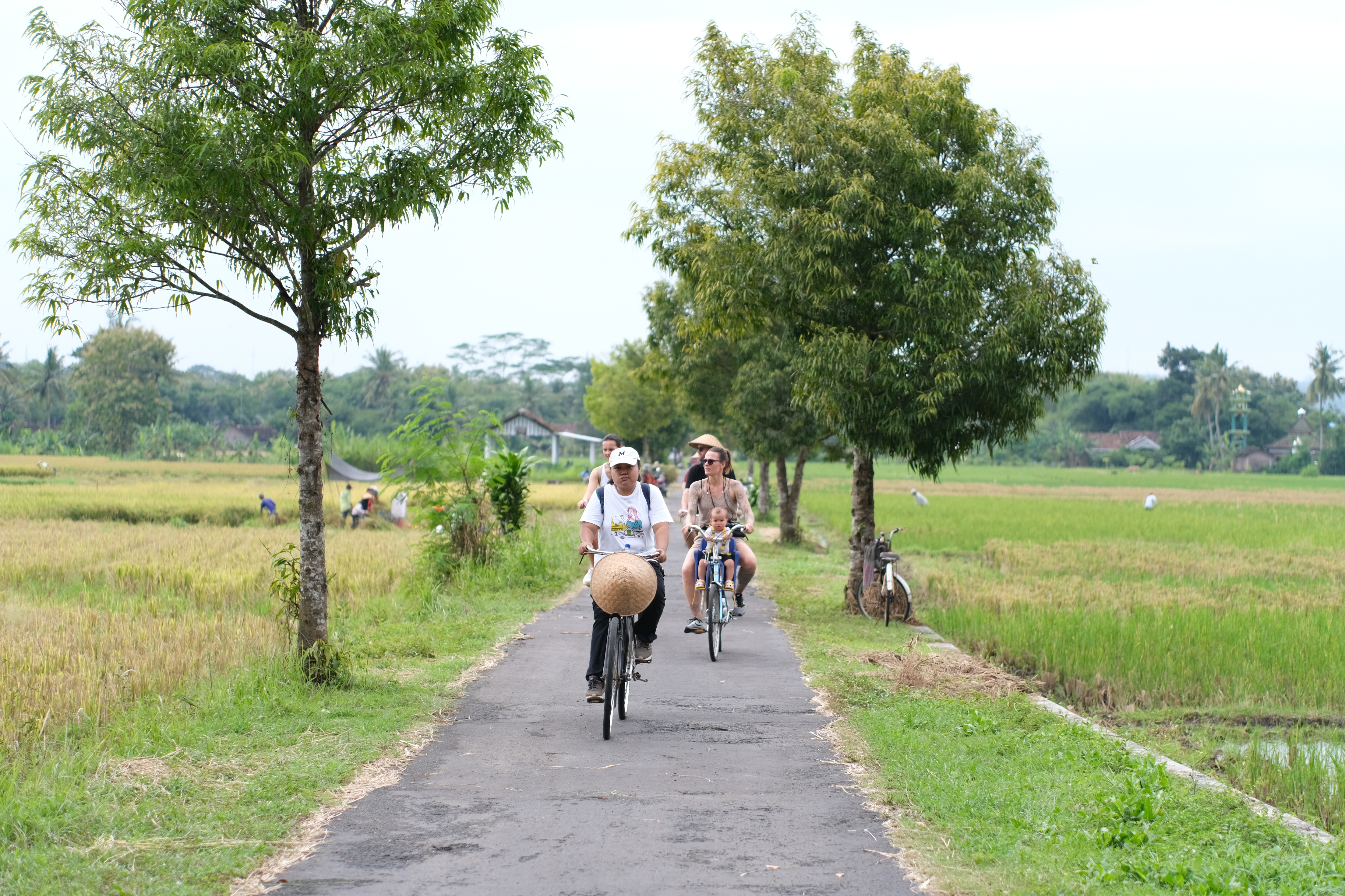 Foto dari Adi Fitrianto