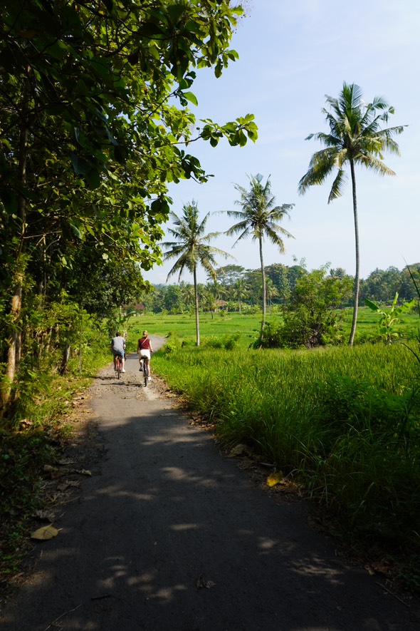 Foto dari Adi Fitrianto