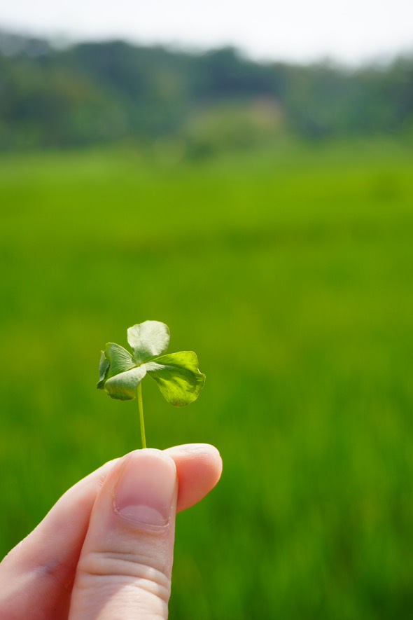 Foto dari Adi Fitrianto